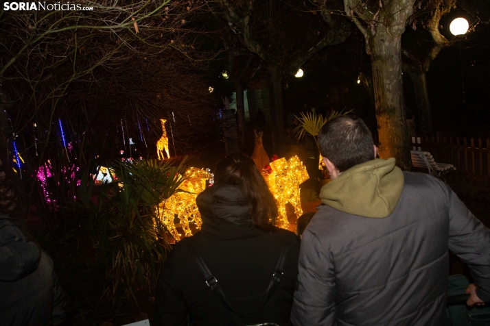 Zoo Luminoso