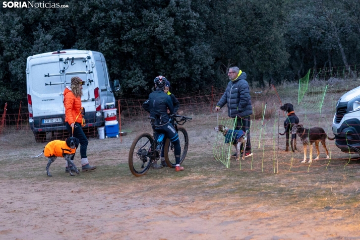 Campeonato de España de Mushing 2025./ Viksar Fotografía