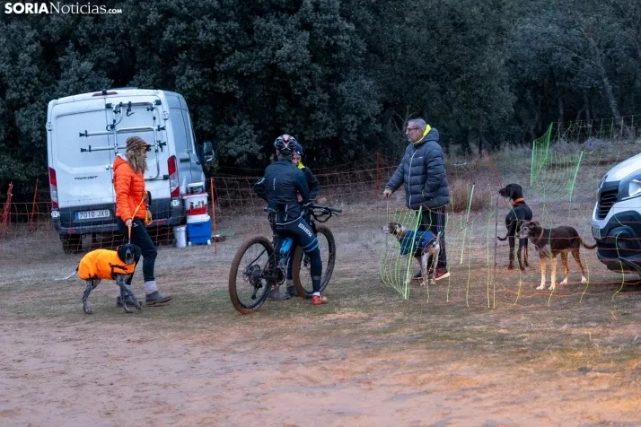 Campeonato de España de Mushing 2025./ Viksar Fotografía