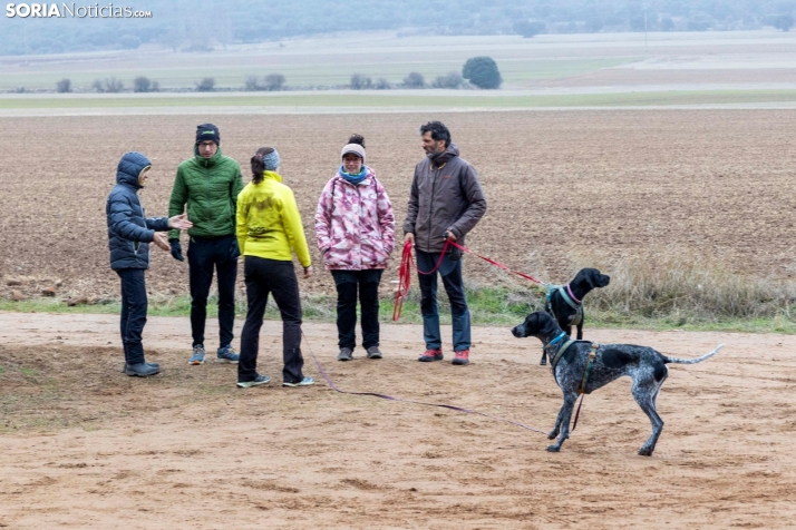 Campeonato de España de Mushing 2025./ Viksar Fotografía