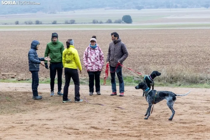 Campeonato de España de Mushing 2025./ Viksar Fotografía