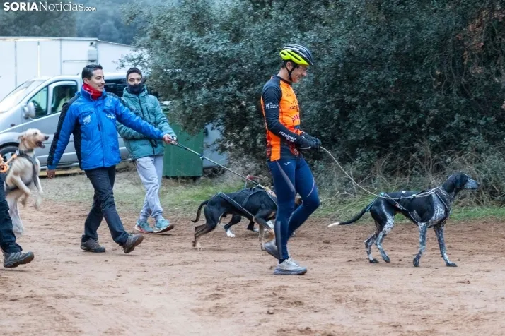 Campeonato de España de Mushing 2025./ Viksar Fotografía