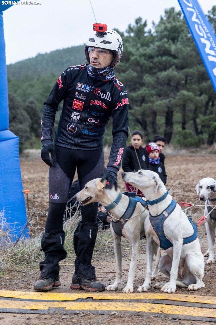 Campeonato de España de Mushing 2025./ Viksar Fotografía