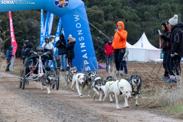 Campeonato de España de Mushing 2025./ Viksar Fotografía