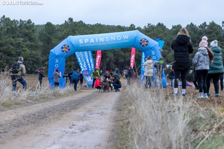 Campeonato de España de Mushing 2025./ Viksar Fotografía