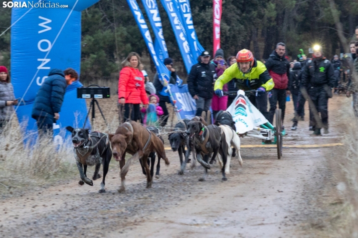 Campeonato de España de Mushing 2025./ Viksar Fotografía