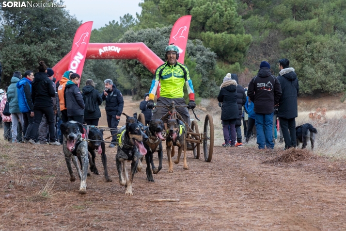 Campeonato de España de Mushing 2025./ Viksar Fotografía