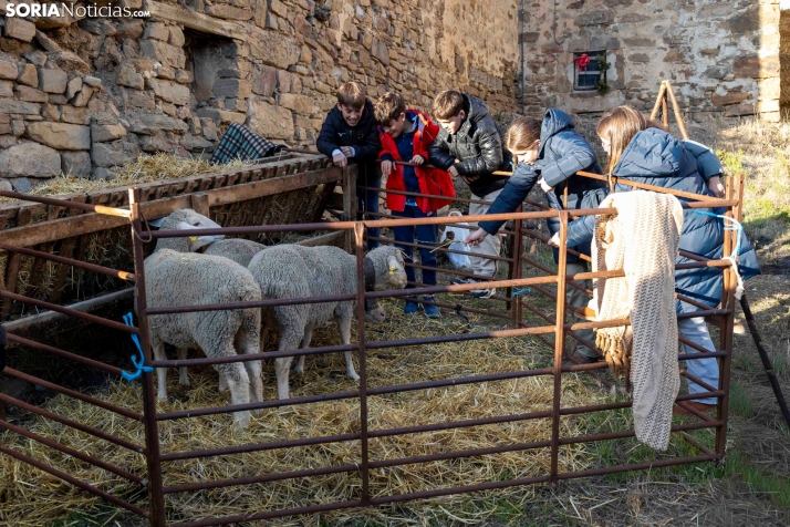Belén Viviente de Oncala 2025./ Viksar Fotografía