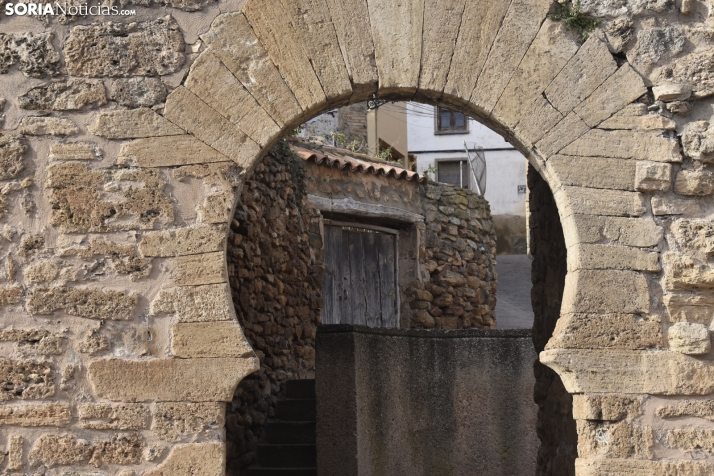 Un paseo por el Barrio Moro para descubrir el secreto del cardo rojo de Ágreda