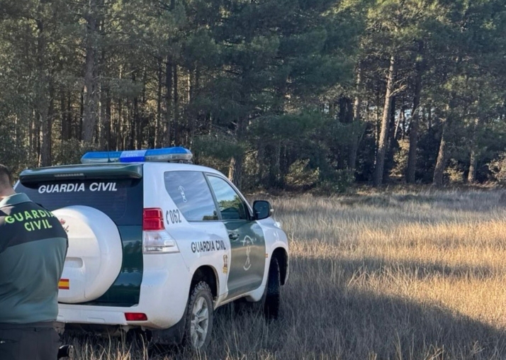 Detenido tras huir de la Guardia Civil en Soria al ser perseguido por tenencia ilícita de armas