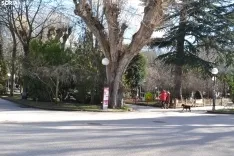 Foto 22 - &iquest;Qu&eacute; regalos de los Reyes Magos se ven m&aacute;s en Soria? Los balones de f&uacute;tbol, los patines o los coches teledirigidos no faltan