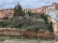 Una imagen actual del jardín. 