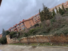 Una imagen actual del jardín. 