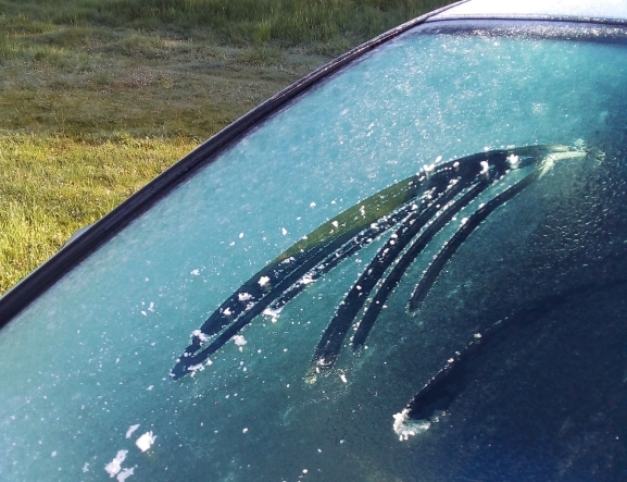 El tiempo en Soria hoy 1 de enero: heladas y previsión de AEMET