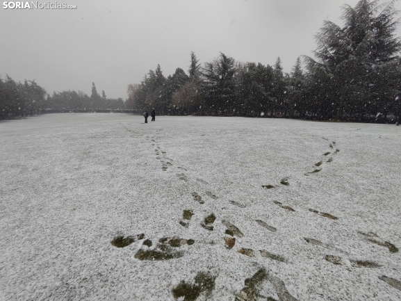 Soria permanece muy atenta al cielo: Se mantiene el aviso amarillo por posibles nevadas