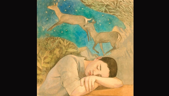 Visita guiada de Enrique Moreiro en la Audiencia de Soria