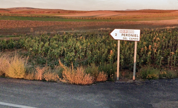 Adjudicadas las obras de la carretera de Peroniel del Campo