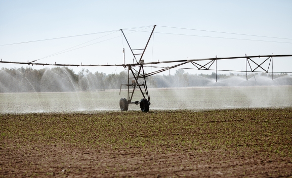 El viñedo y la industria agroalimentaria suman hectáreas de riego