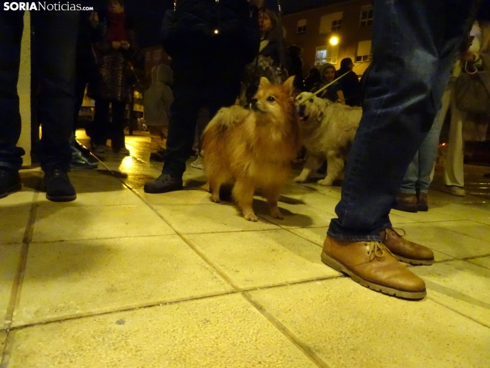 Una imagen de esta tarde de sábado. /PC