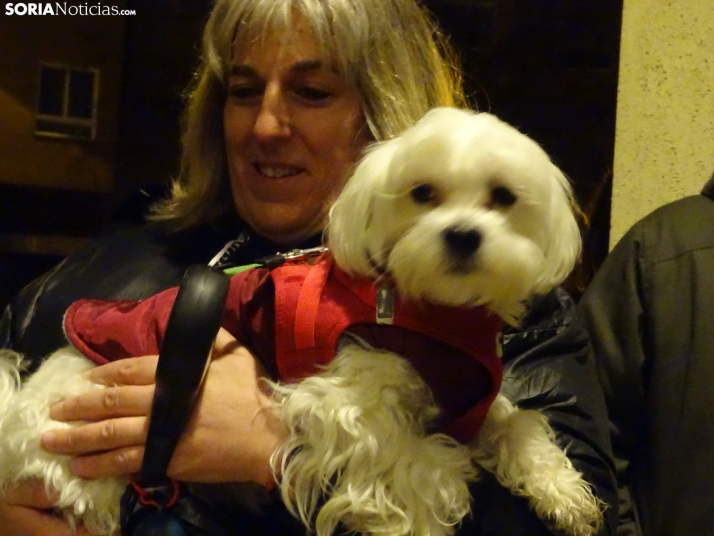 Una imagen de esta tarde de sábado. /PC