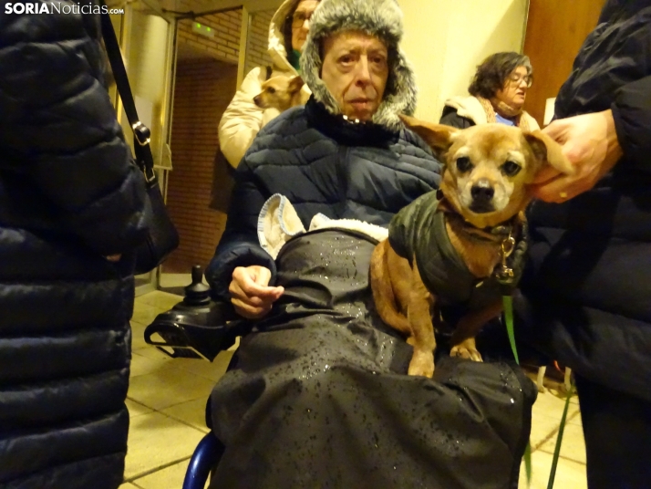 Una imagen de esta tarde de sábado. /PC