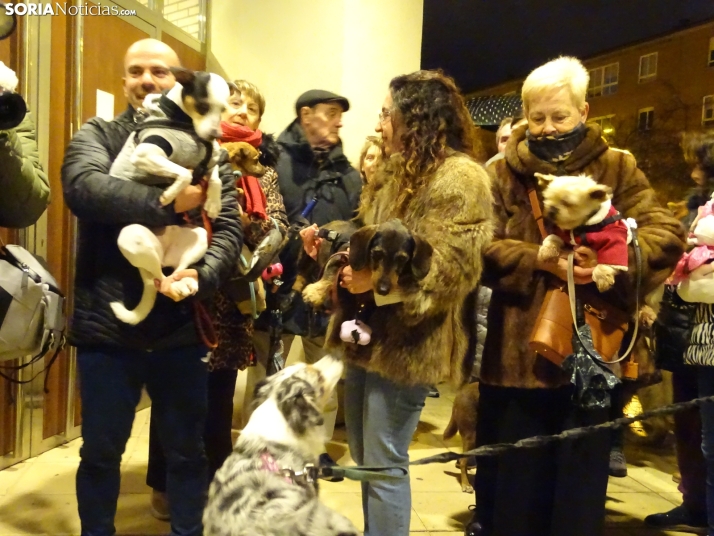 Una imagen de esta tarde de sábado. /PC