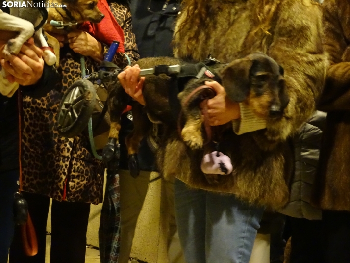 Una imagen de esta tarde de sábado. /PC