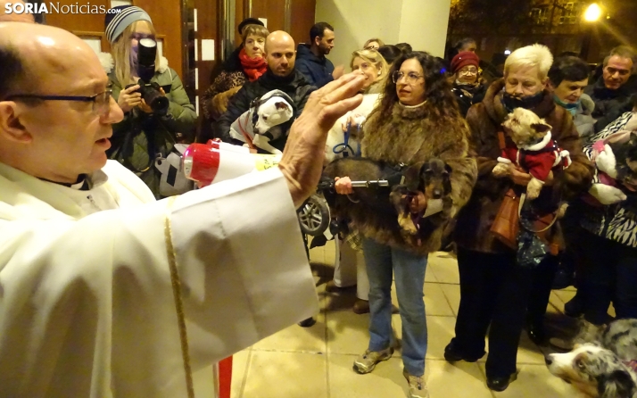 FOTOS | Los animales y sus dueños, fieles a San Antón