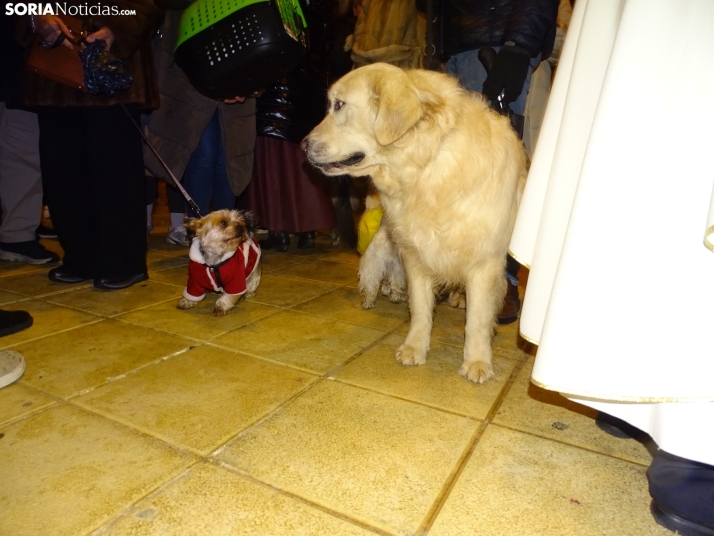 Una imagen de esta tarde de sábado. /PC