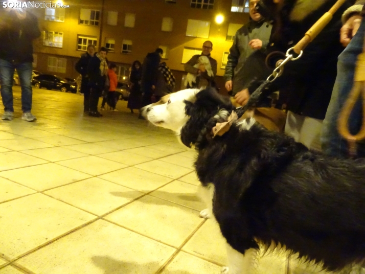 Una imagen de esta tarde de sábado. /PC