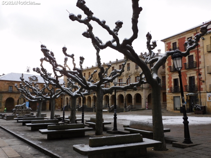 En im&aacute;genes: Estampas blancas en Soria tras el paso de la borrasca Ingrid