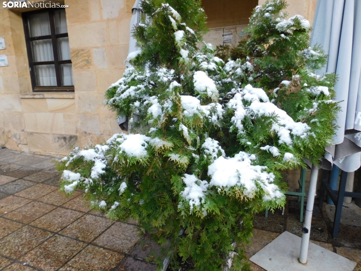 En im&aacute;genes: Estampas blancas en Soria tras el paso de la borrasca Ingrid