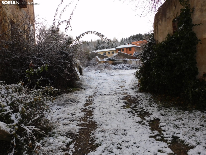 En im&aacute;genes: Estampas blancas en Soria tras el paso de la borrasca Ingrid