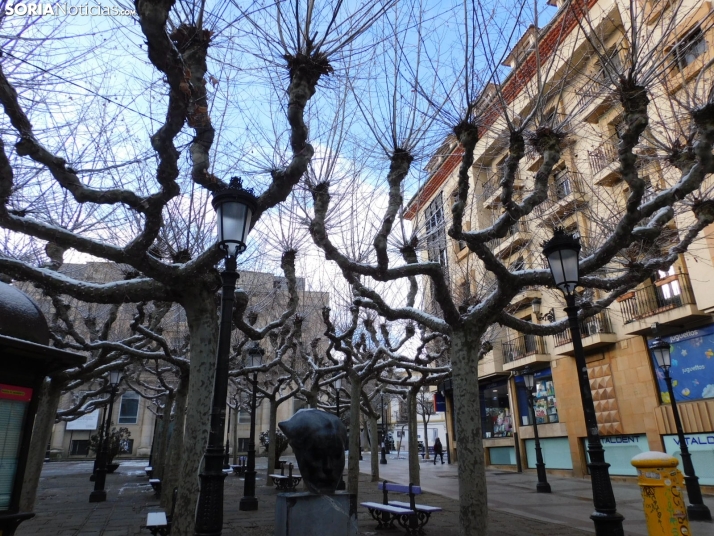 En im&aacute;genes: Estampas blancas en Soria tras el paso de la borrasca Ingrid