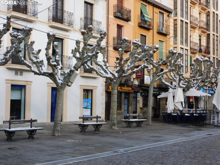En im&aacute;genes: Estampas blancas en Soria tras el paso de la borrasca Ingrid
