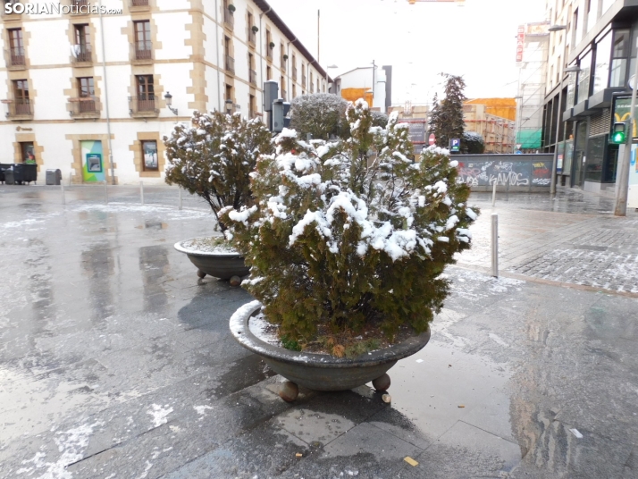 En im&aacute;genes: Estampas blancas en Soria tras el paso de la borrasca Ingrid