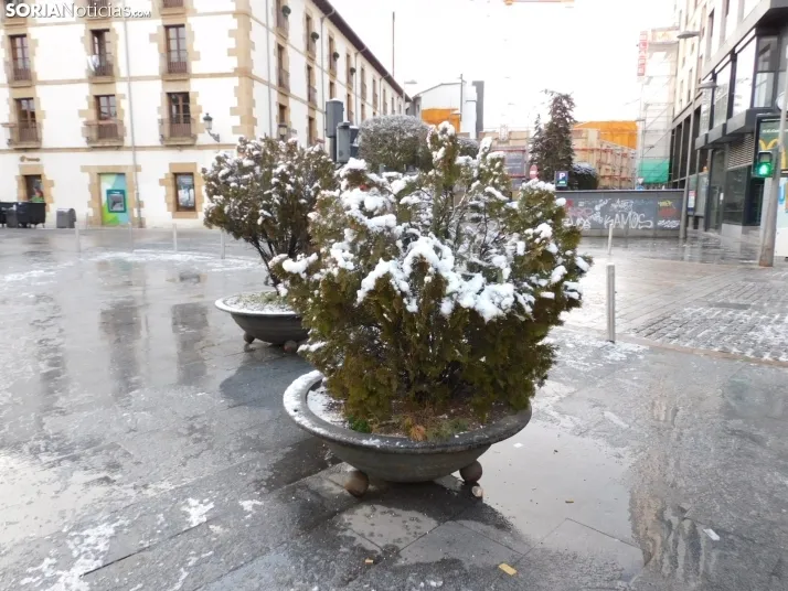 En im&aacute;genes: Estampas blancas en Soria tras el paso de la borrasca Ingrid
