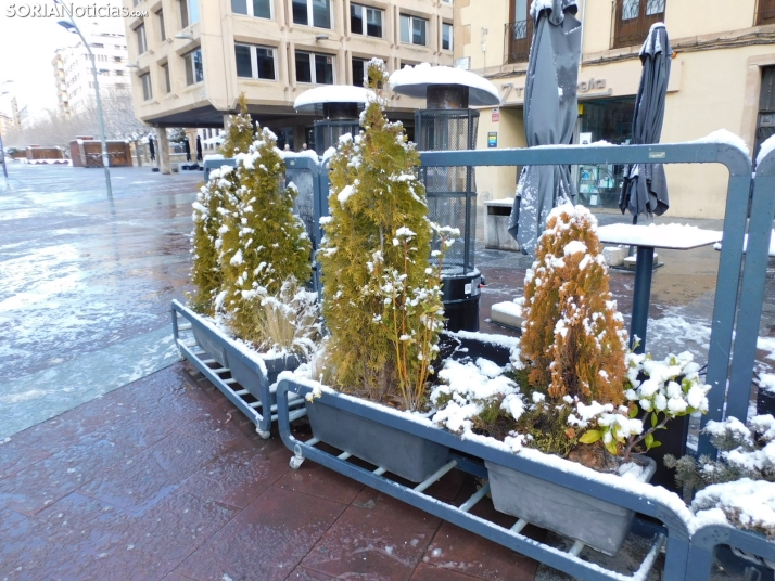 En im&aacute;genes: Estampas blancas en Soria tras el paso de la borrasca Ingrid
