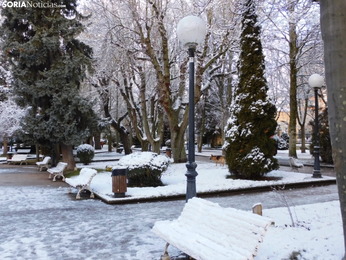 En im&aacute;genes: Estampas blancas en Soria tras el paso de la borrasca Ingrid