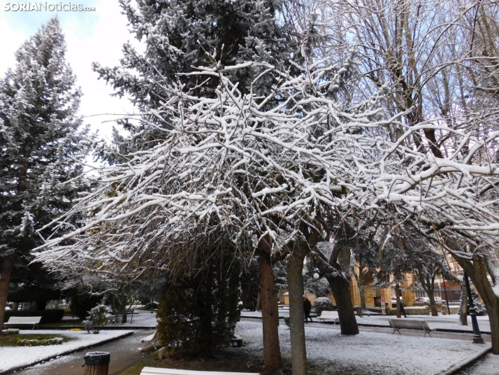 En im&aacute;genes: Estampas blancas en Soria tras el paso de la borrasca Ingrid