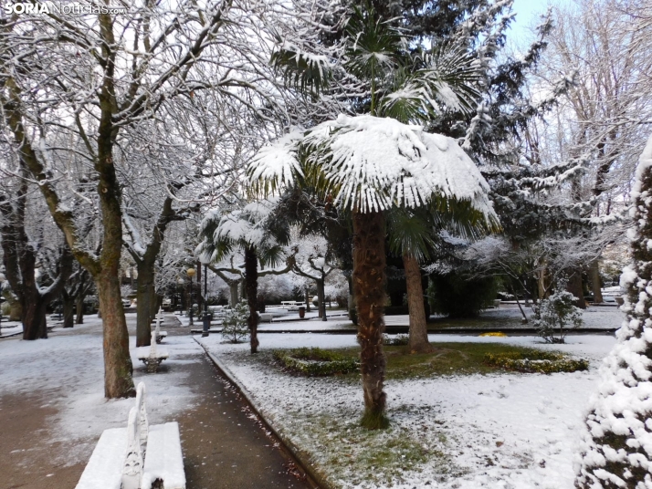 En im&aacute;genes: Estampas blancas en Soria tras el paso de la borrasca Ingrid