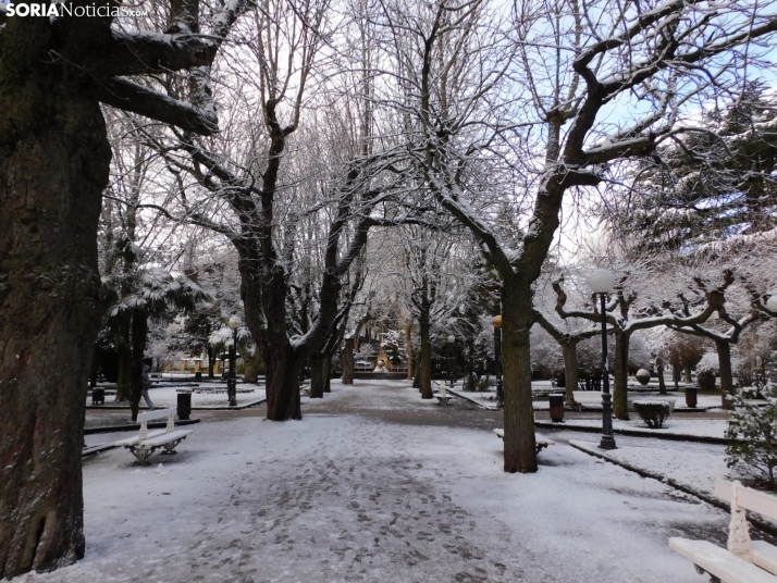 En im&aacute;genes: Estampas blancas en Soria tras el paso de la borrasca Ingrid