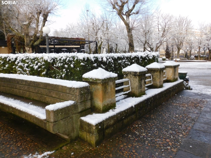 En im&aacute;genes: Estampas blancas en Soria tras el paso de la borrasca Ingrid