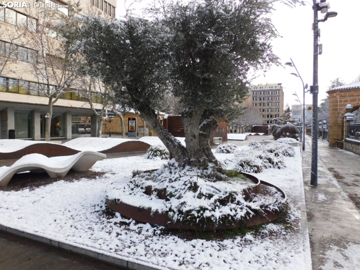 En im&aacute;genes: Estampas blancas en Soria tras el paso de la borrasca Ingrid