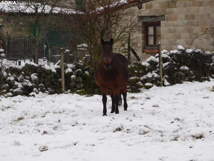 Fotos: Uno de los pueblos m&aacute;s bonitos de Espa&ntilde;a, cubierto por la nieve