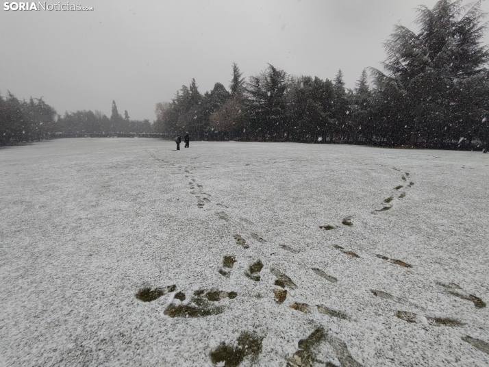 Soria permanece muy atenta al cielo: Se mantiene el aviso amarillo por posibles nevadas