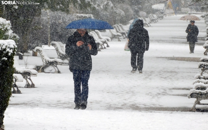 Una imagen de este mediodía de miércoles en uno de los paseos de La Dehesa. /PC