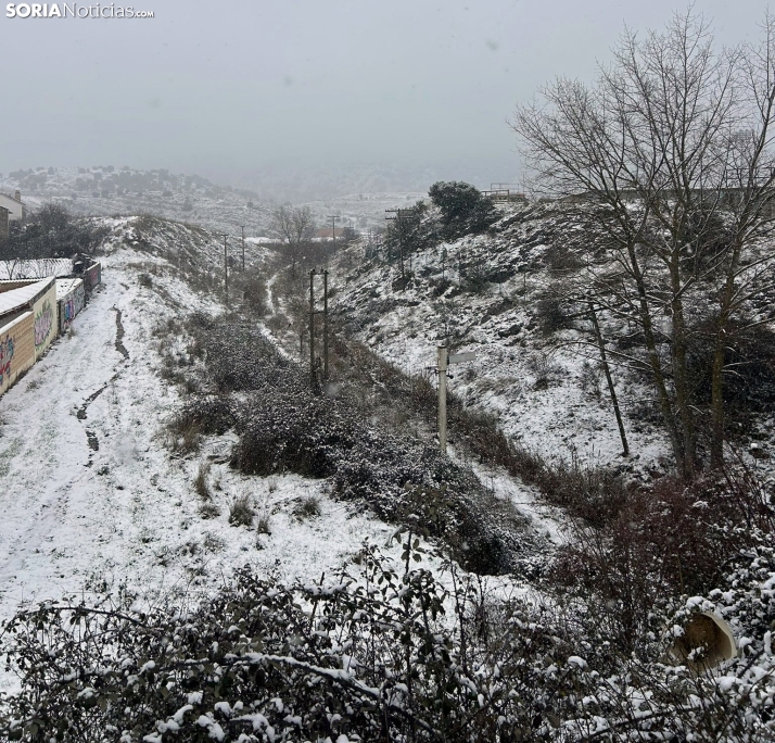 FOTOS | La nieve blanquea Soria