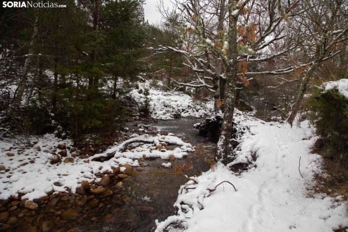 Nieve en El Chorrón