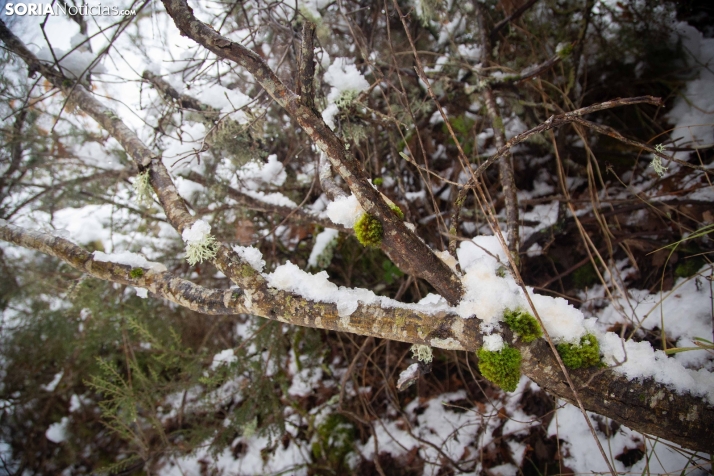 Nieve en El Chorrón